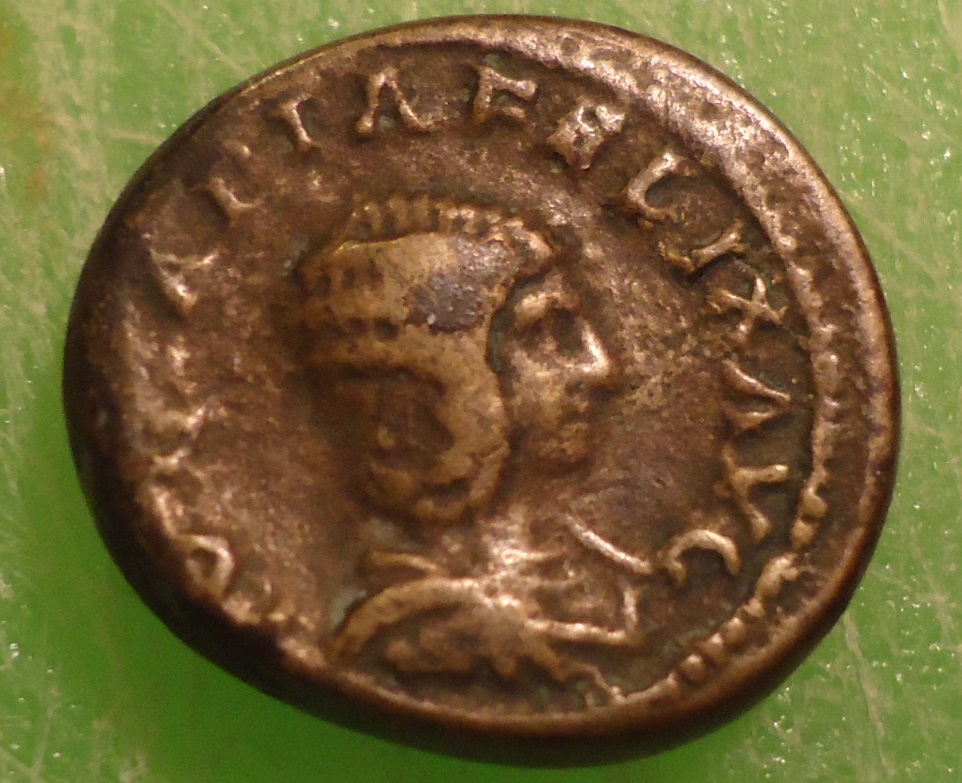 Julia Domna Geta AE (2).JPG