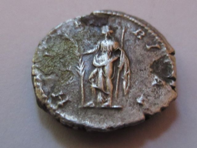 julia domna reverse.JPG