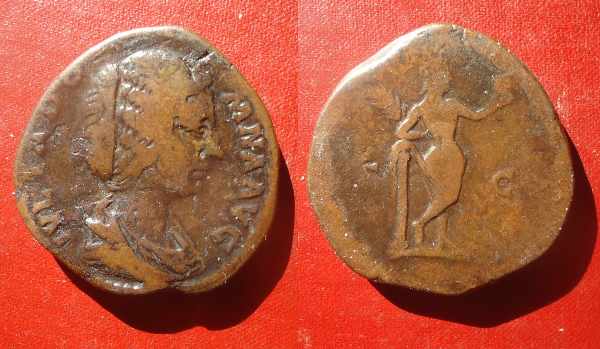Julia Domna - Sest. Venus rear Feb 2022 (0).jpg