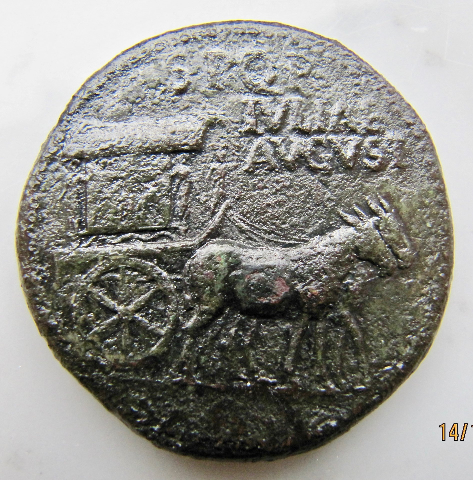 Julia Livia Serstertius Carpentum OBV1 N - 1.jpg