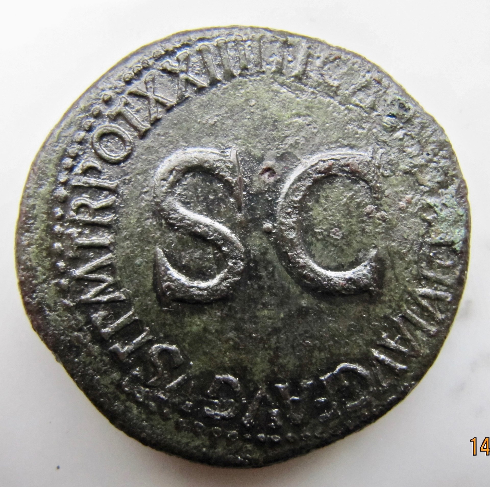 Julia Livia Serstertius Carpentum REV1 N - 1.jpg
