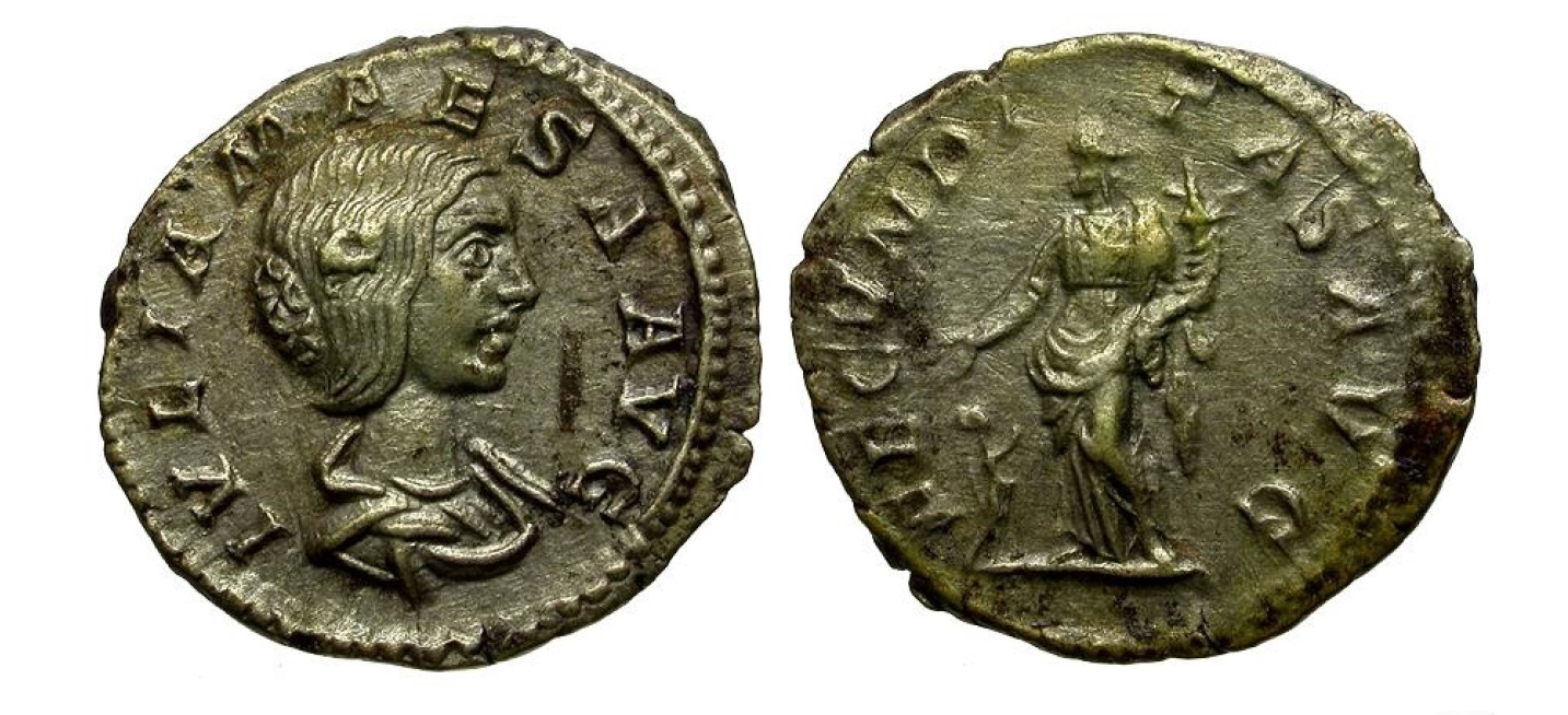 Julia Maesa. Grandmother of Elagabalus and Severus Alexander AR Denarius - jpg.jpg