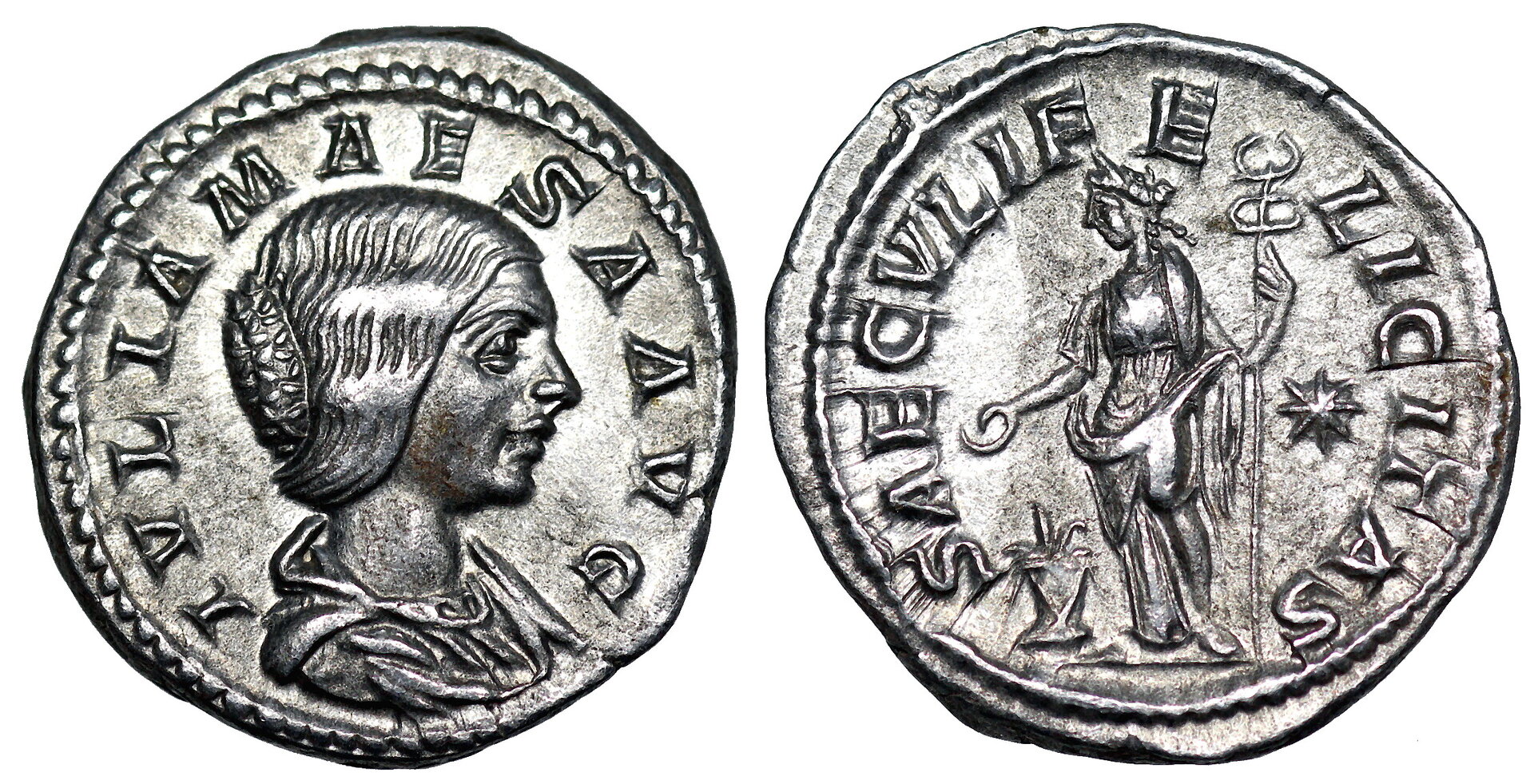 Julia Maesa Rome 271.JPG