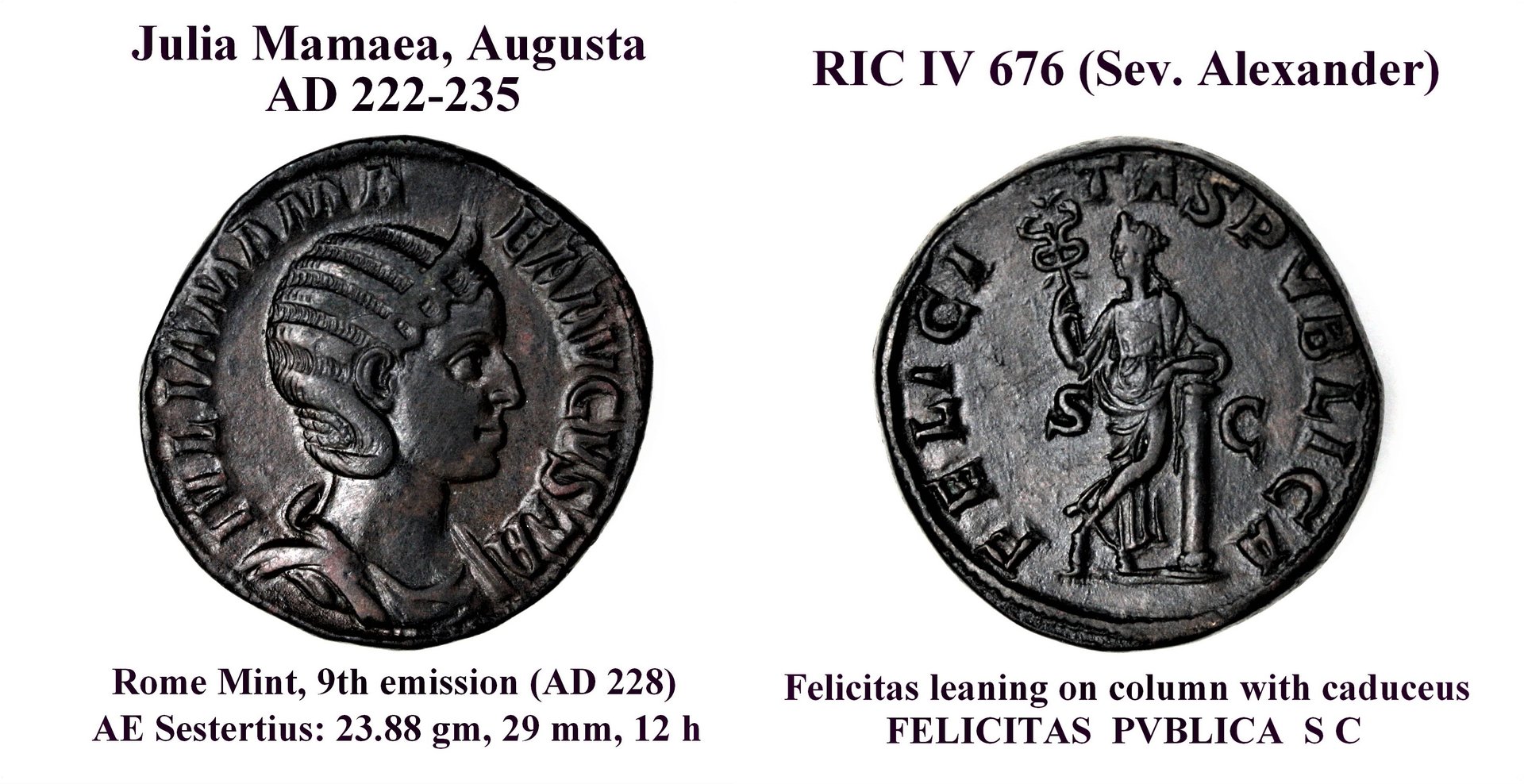 Julia Mamaea, Augusta (2).jpg