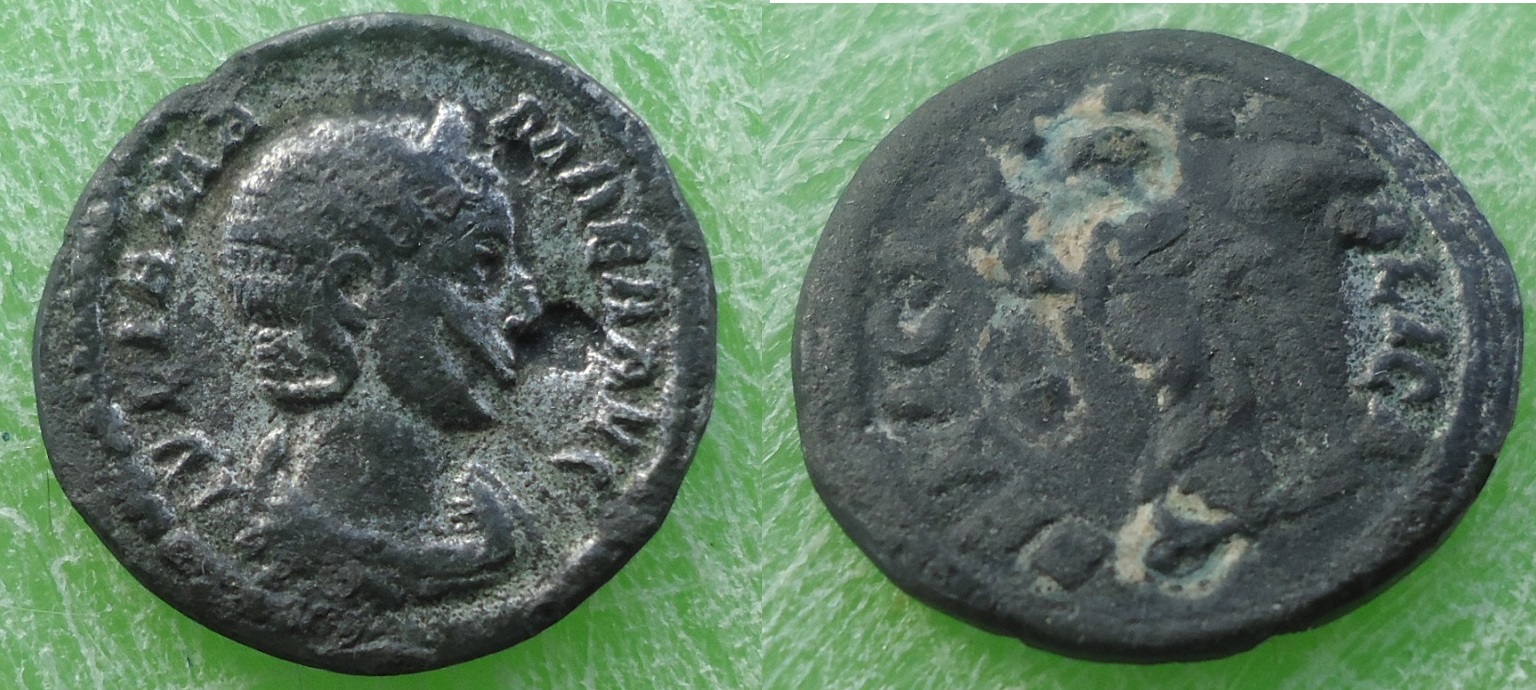 Julia Mamaea Damnatio Den (1).JPG