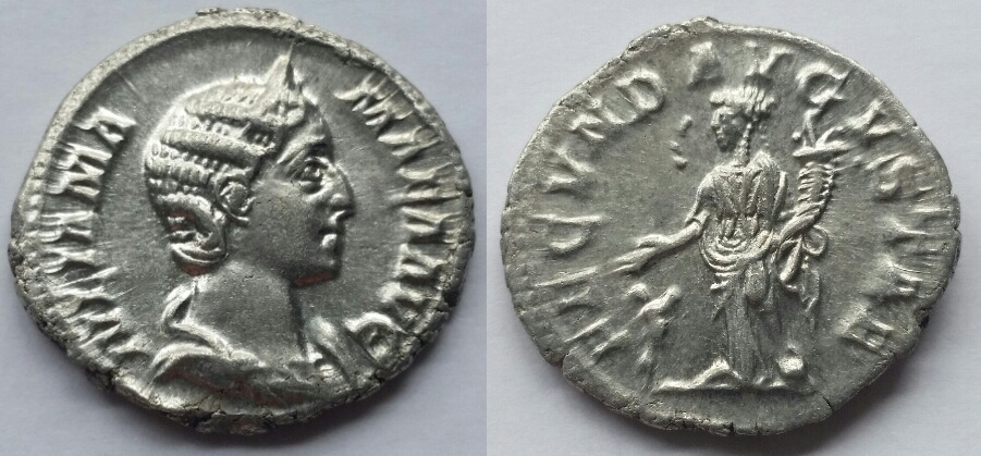 Julia mamaea fecunditas.jpg