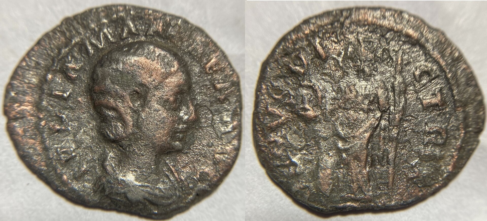 Julia Mamaea RIC 358.JPG