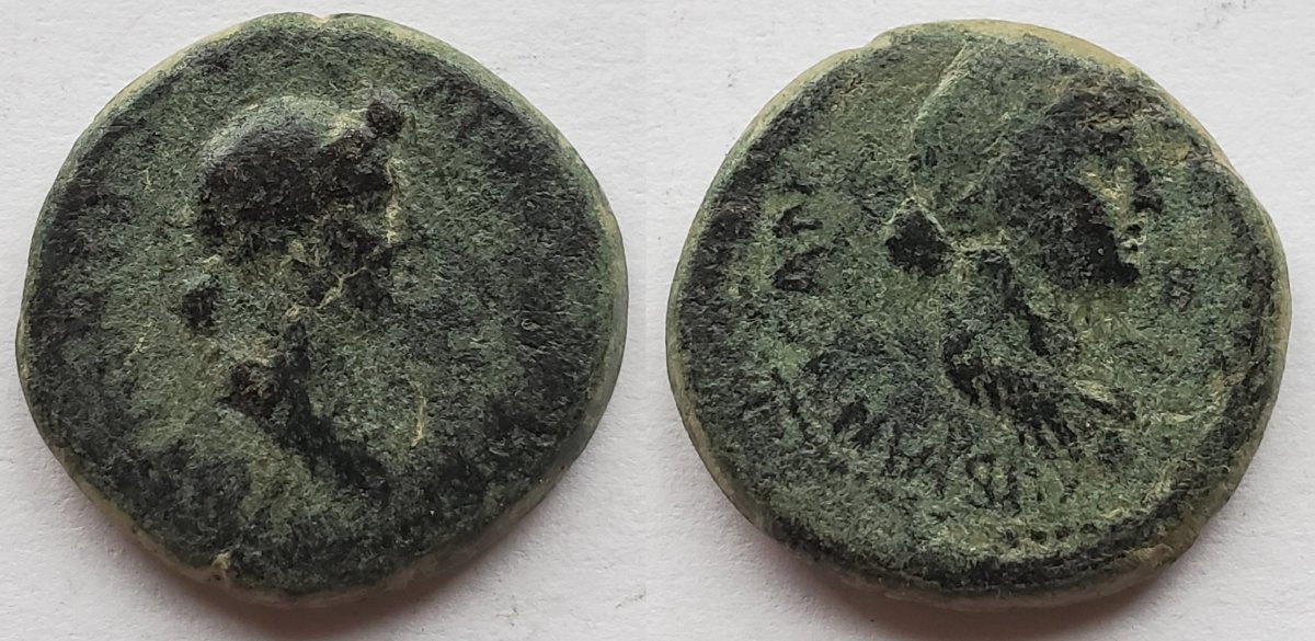 Julia the Elder and Livia Pergamum mysia.jpeg