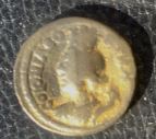 JuliaBostra R  rosenb46.JPG