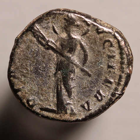 JUliaDomnaLimes475R.jpg