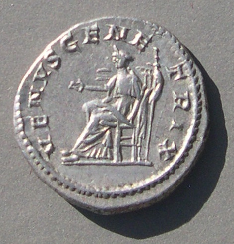 JuliaDomnaVGantR.jpg