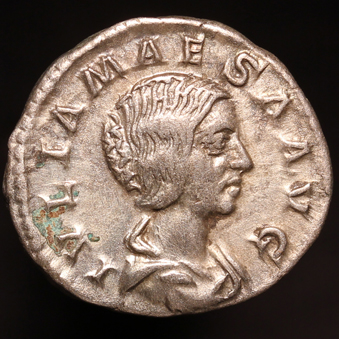 JuliaMaesa339xO1.jpg