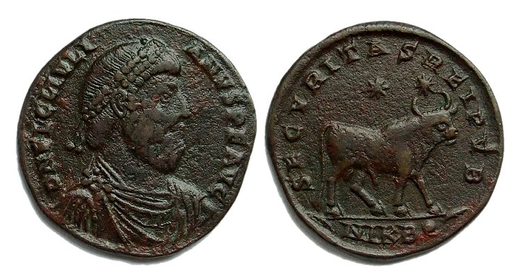 Julian bull400.jpg