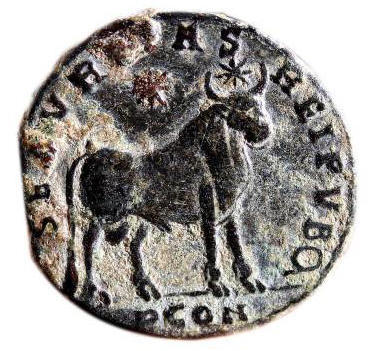 julian II bull b.jpg