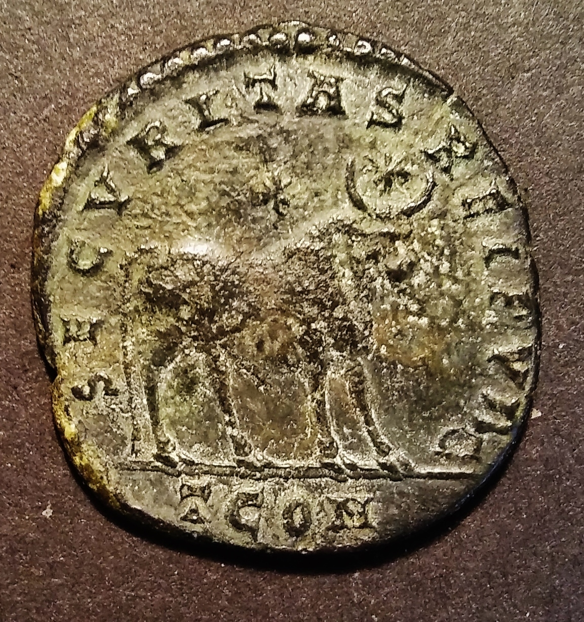 Julian II bull Rev 3.jpg