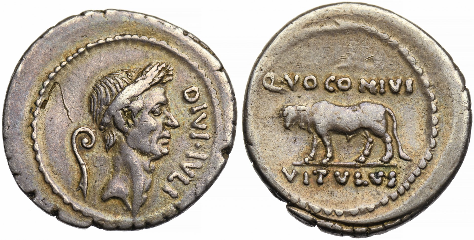 Julius Caesar 2024-04-16.JPG