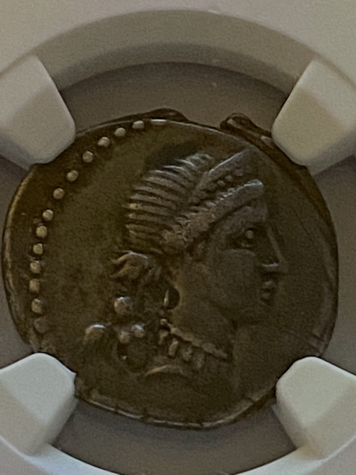 Julius Caesar Conquered Gaul Obv.jpg