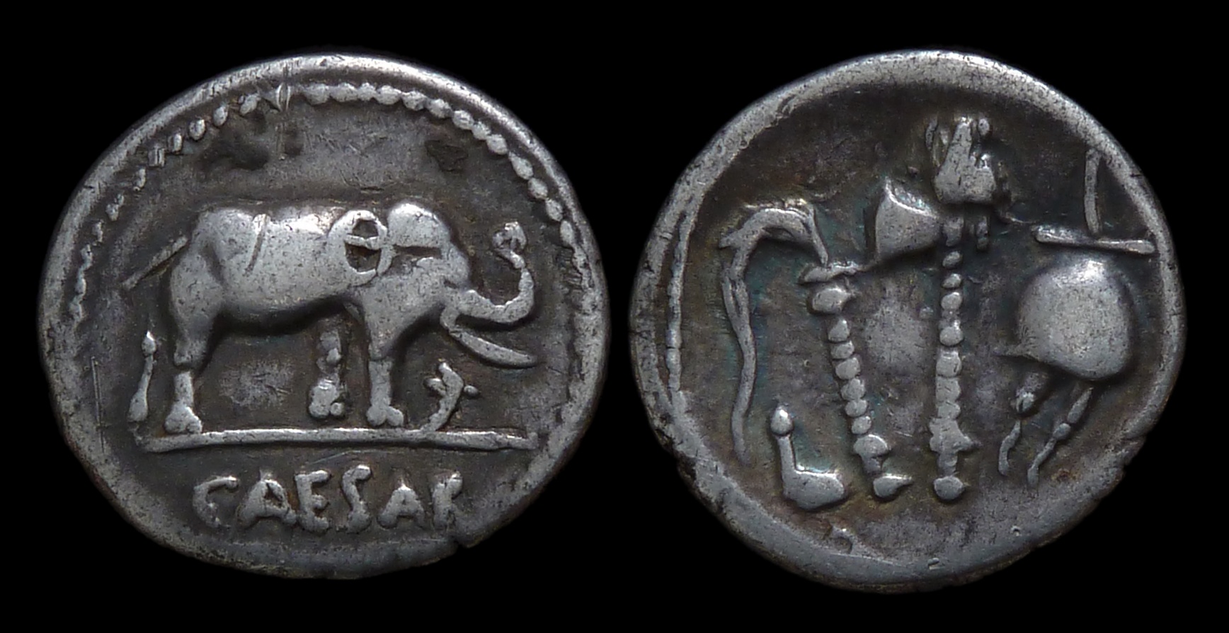 Julius Caesar - Den Elephant ex Kelly new 2987.jpg