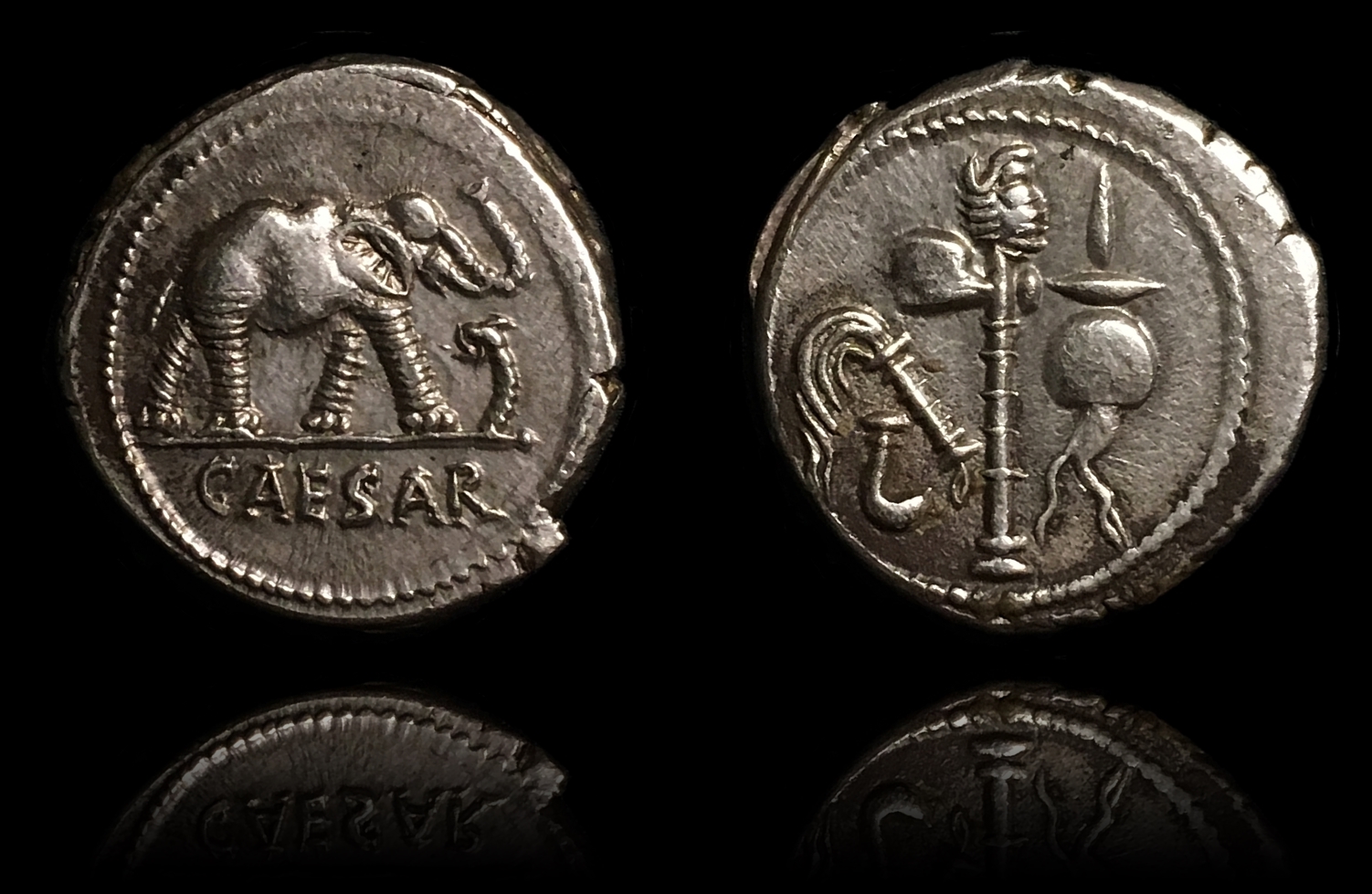 Julius Caesar Elephant $1500  $2500.jpg