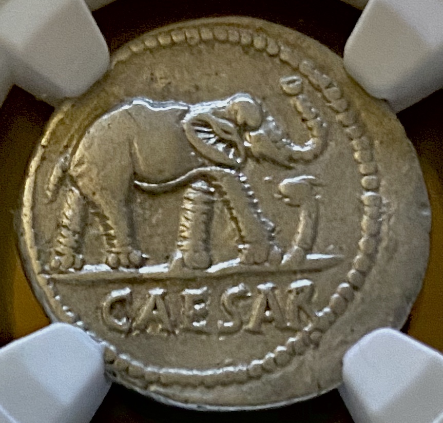 Julius Caesar Elephant Obv.jpg