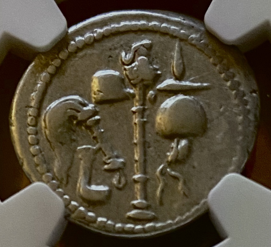 Julius Caesar Elephant Rev.jpg