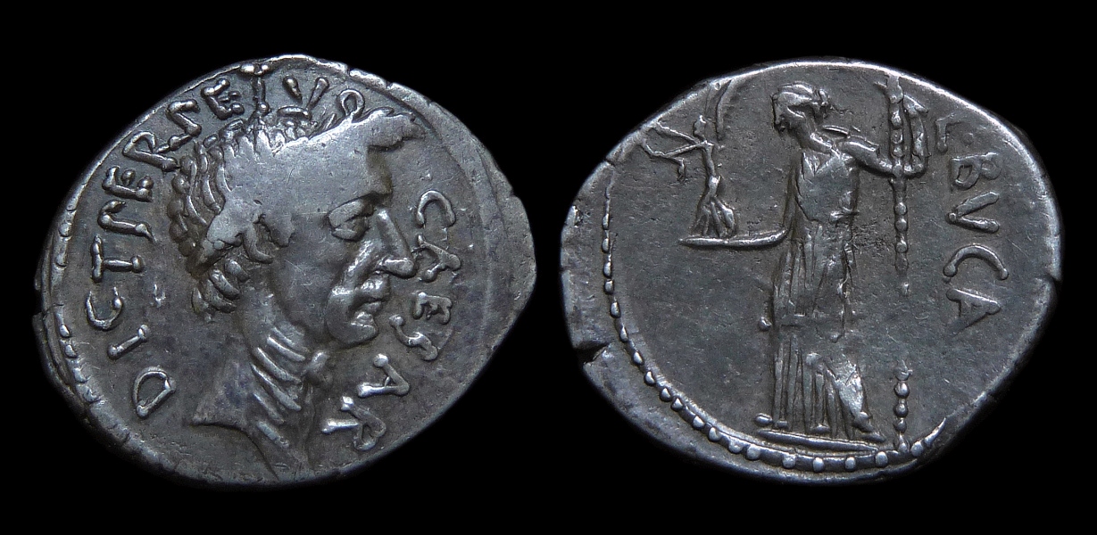 Julius Caesar - New 2017.jpg