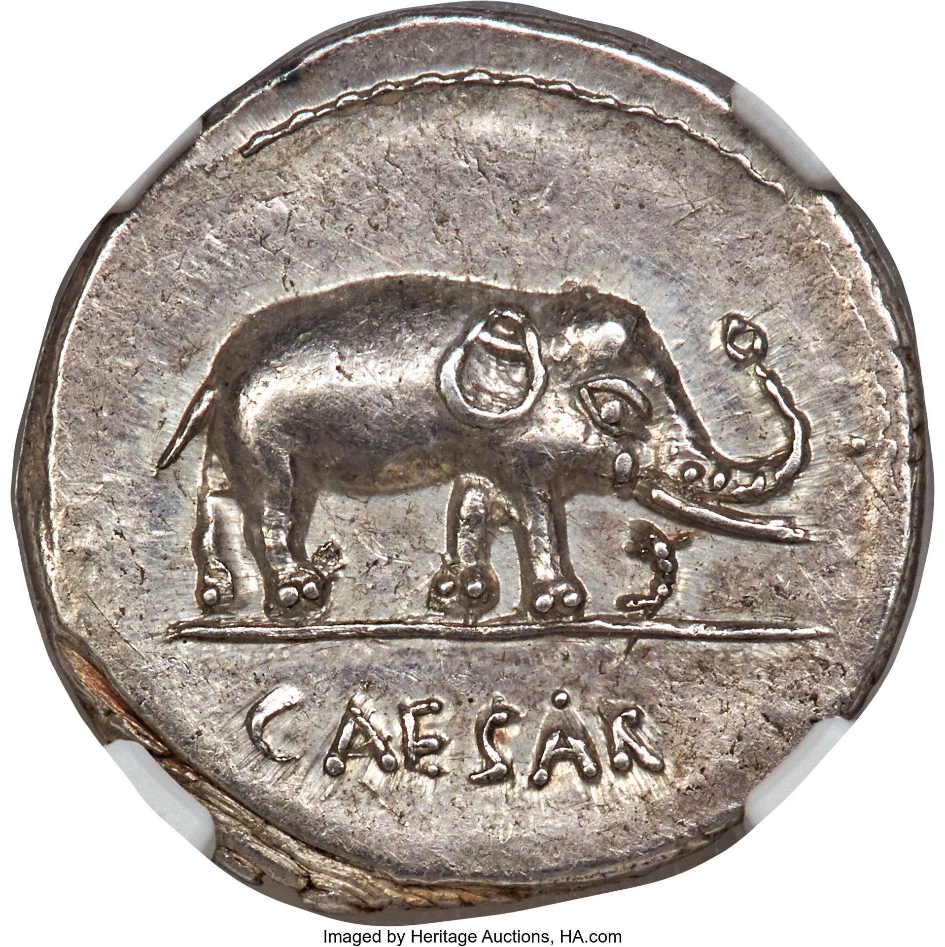 Julius Caesar pig elephant O.jpg