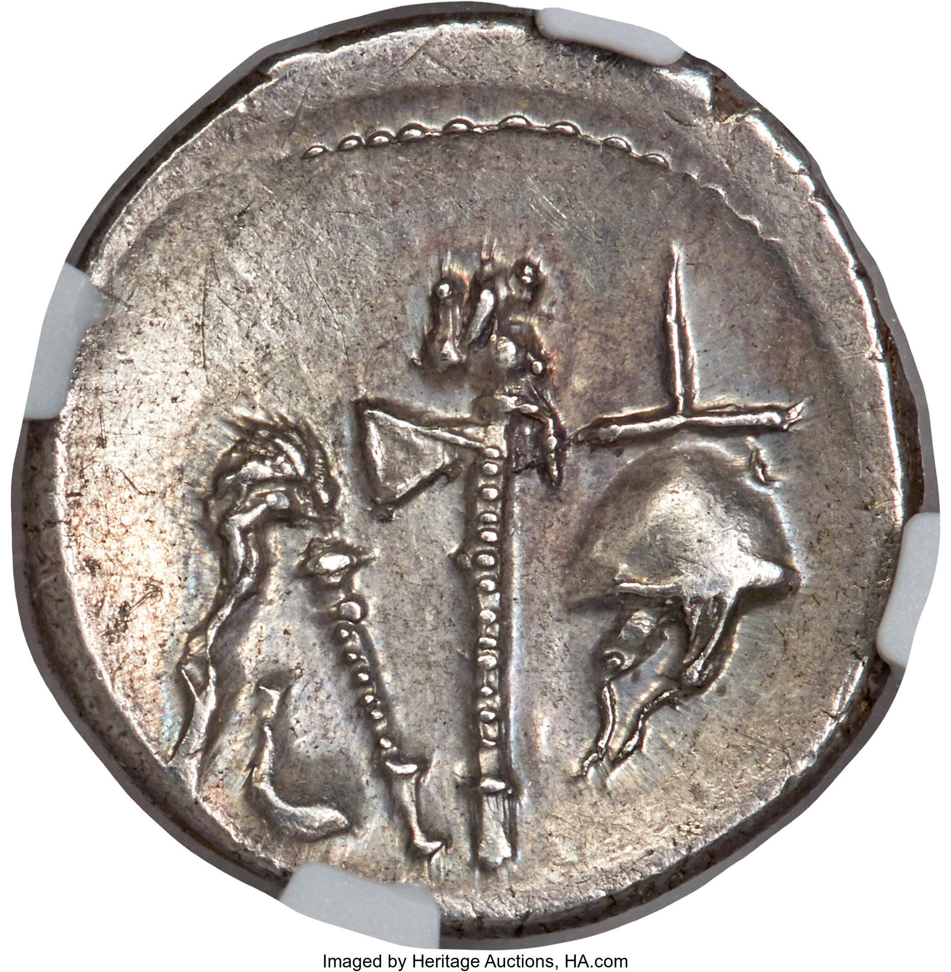 Julius Caesar Pig elephant R.jpg