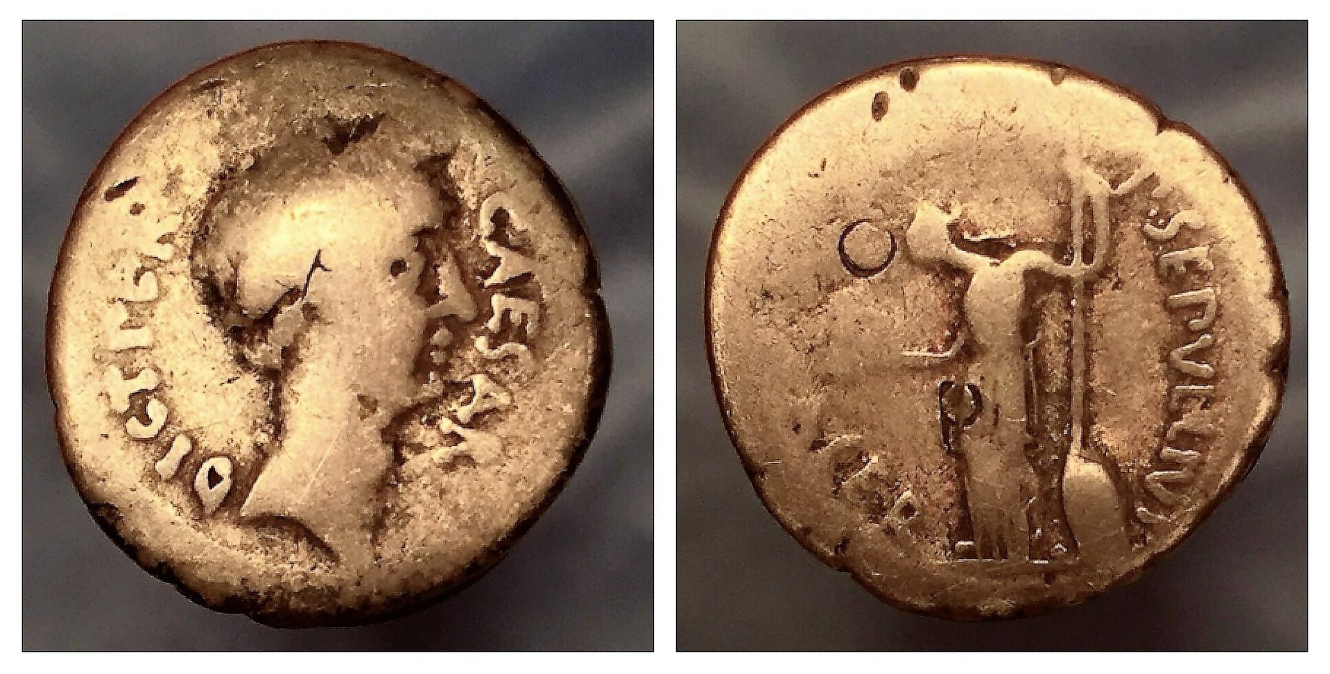 JULIUS CAESAR PORTRAIT DENARIUS.jpg