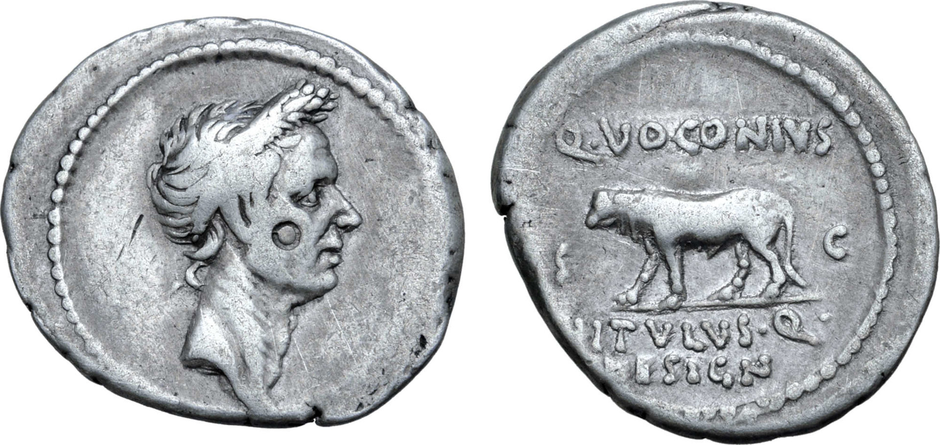 Julius Caesar Portrait Voconius Vitulus.jpg