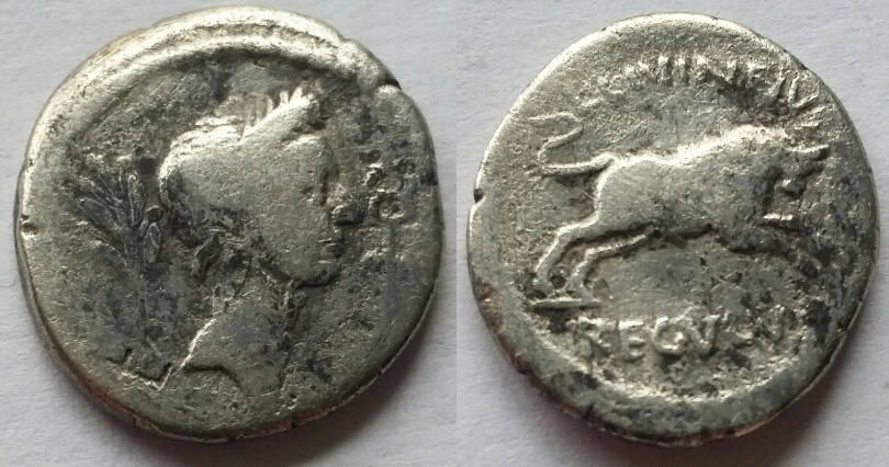 Julius caesar posthumous denarius regulus cr492.jpg