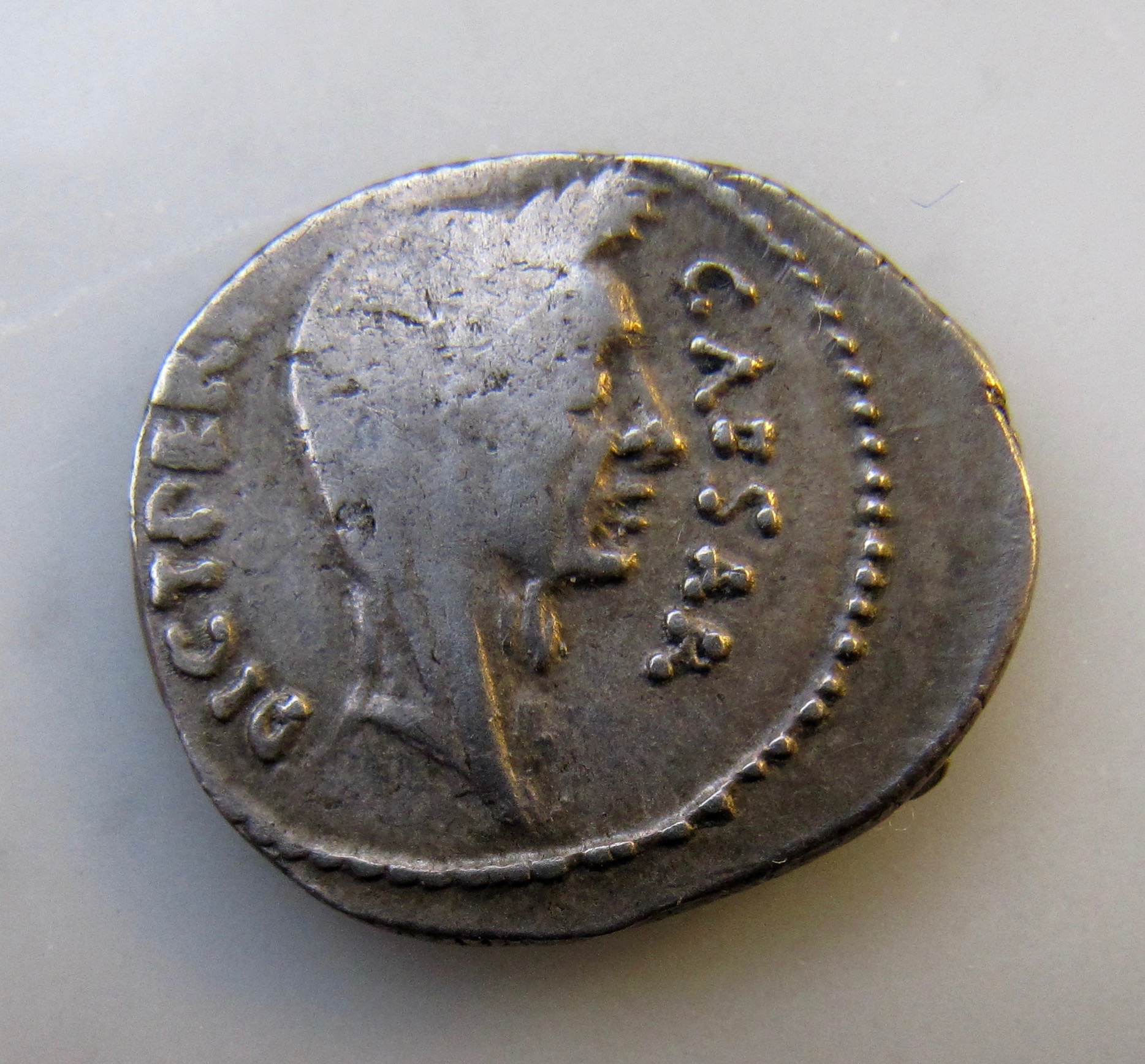 Julius Cesar Denarius-Obv-better - 1.jpg