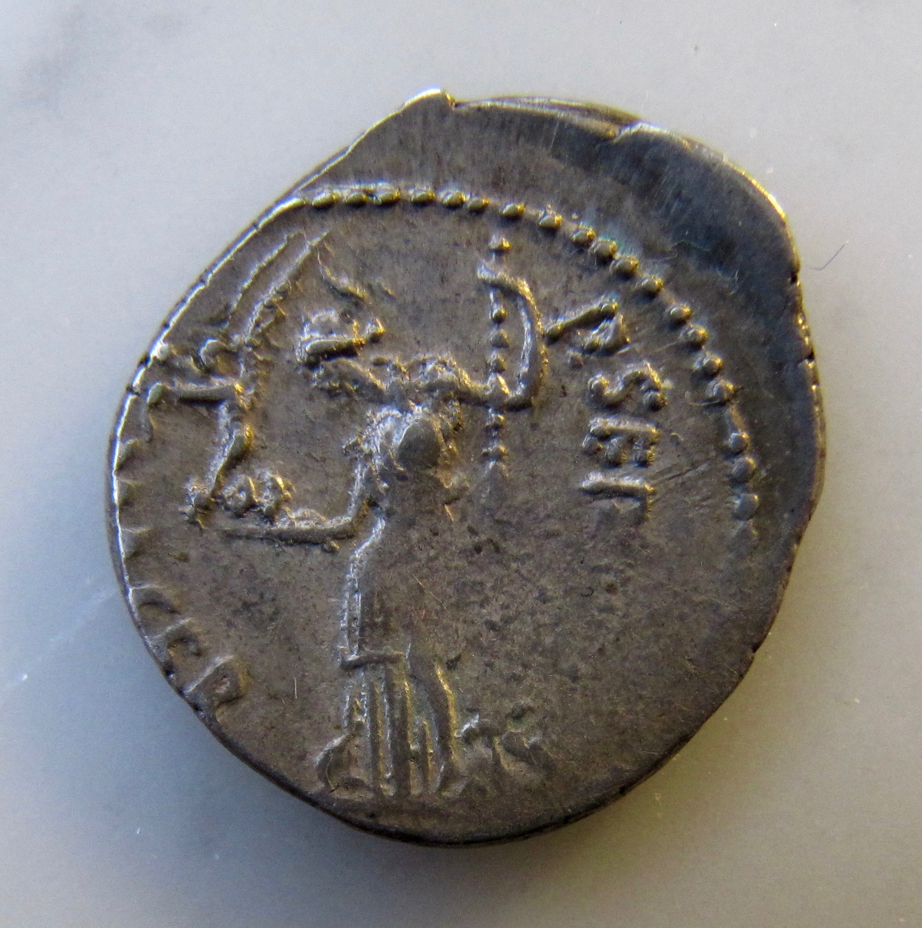 Julius Caesar Denarius | Coin Talk