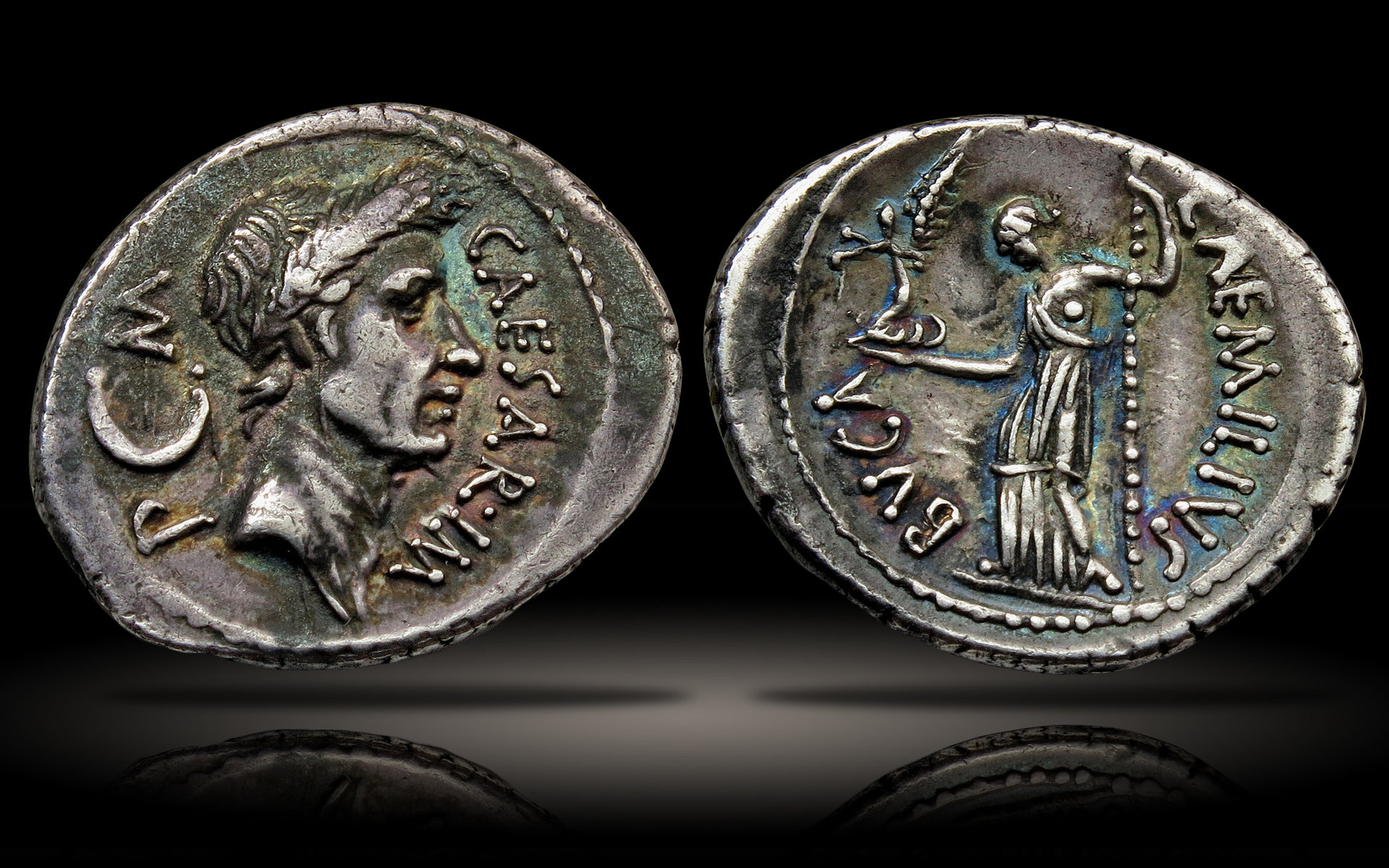 Julius.jpg