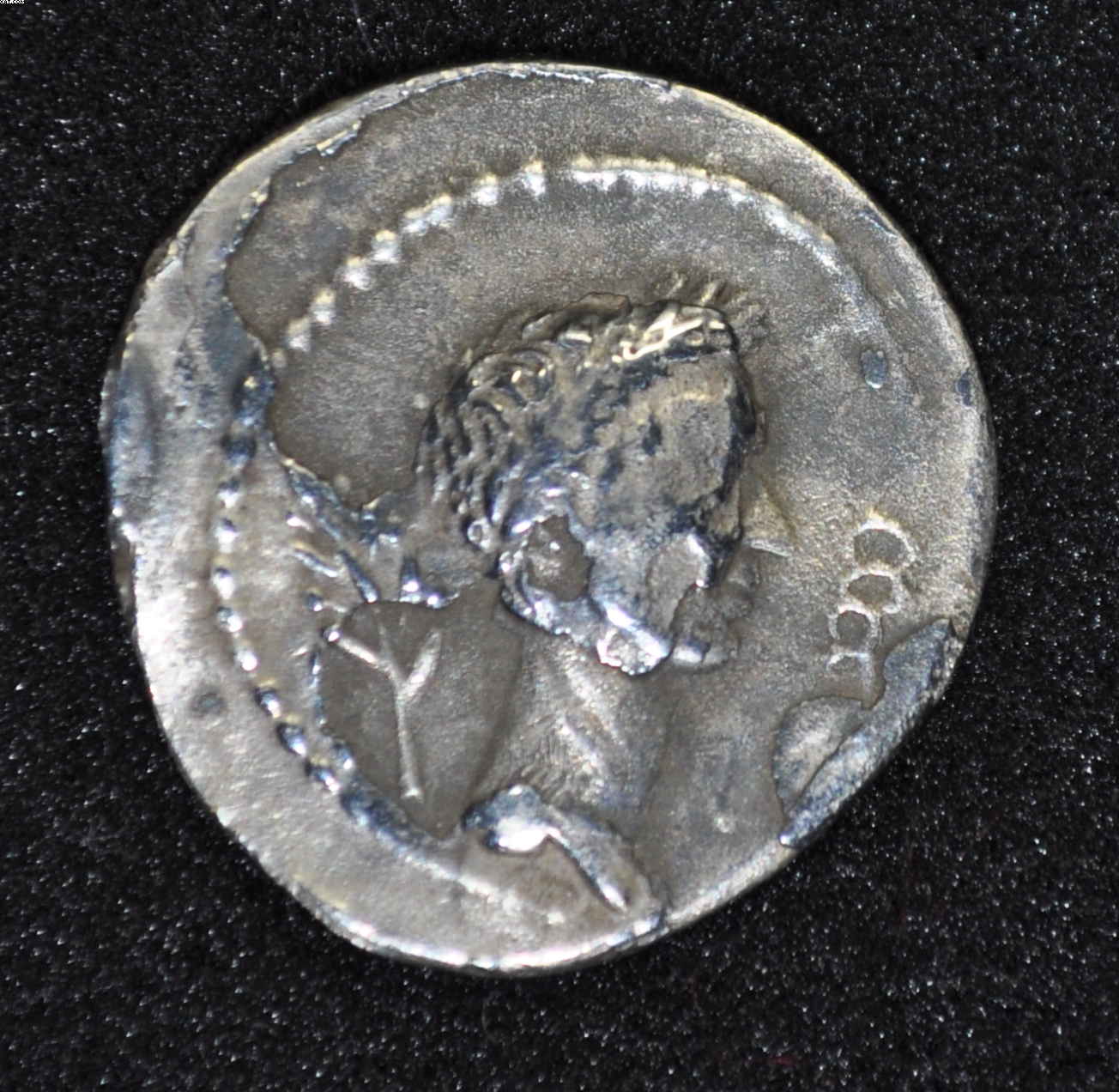 JuliusA.JPG