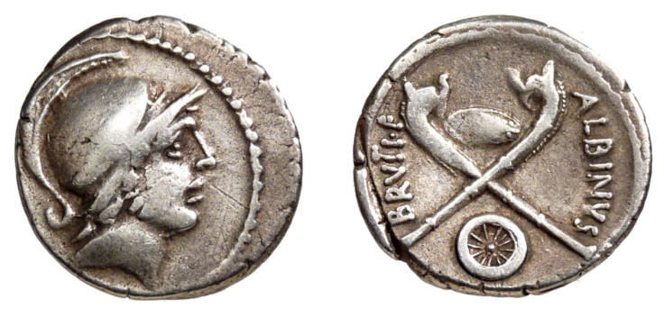 junius brutus c.jpg