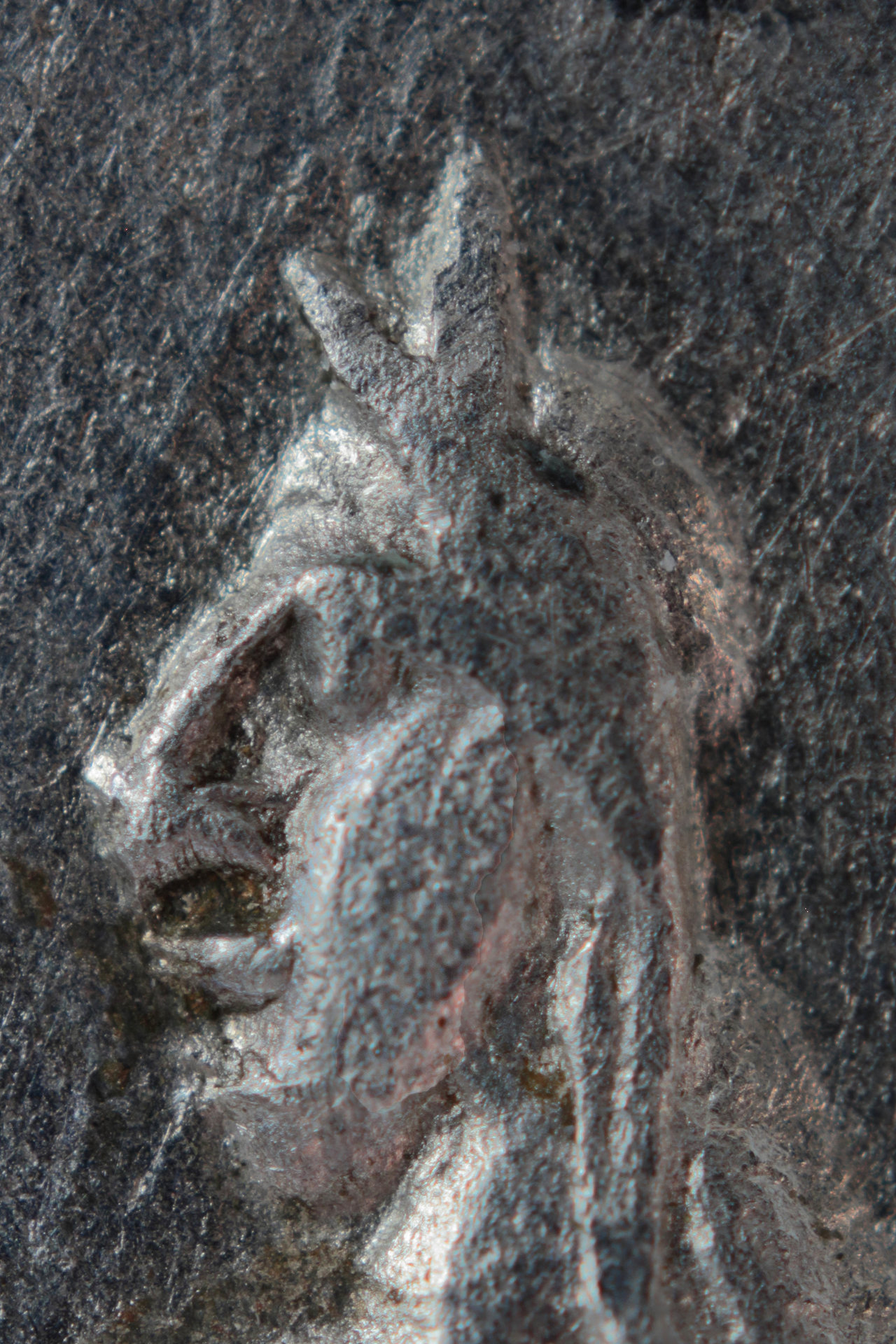 junomaesa1.jpg