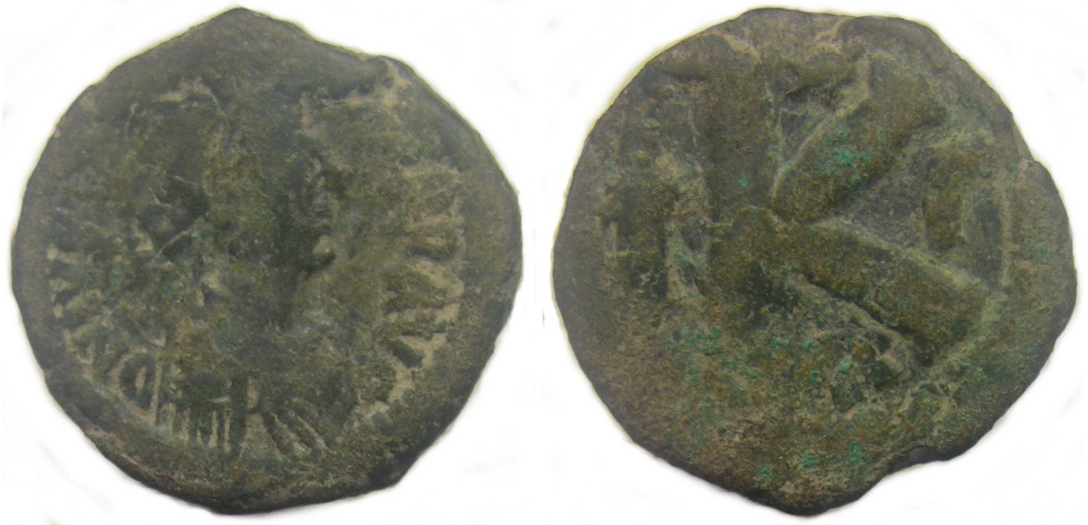 justin-1-half-follis.jpg