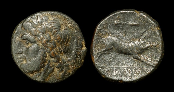JWT 171 Apri Boar.jpg