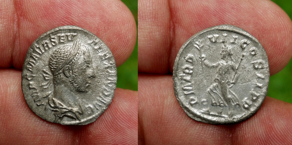 JWT 53 Severus Alexander Pax.jpg