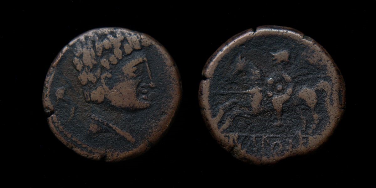 K. karcica.jpg