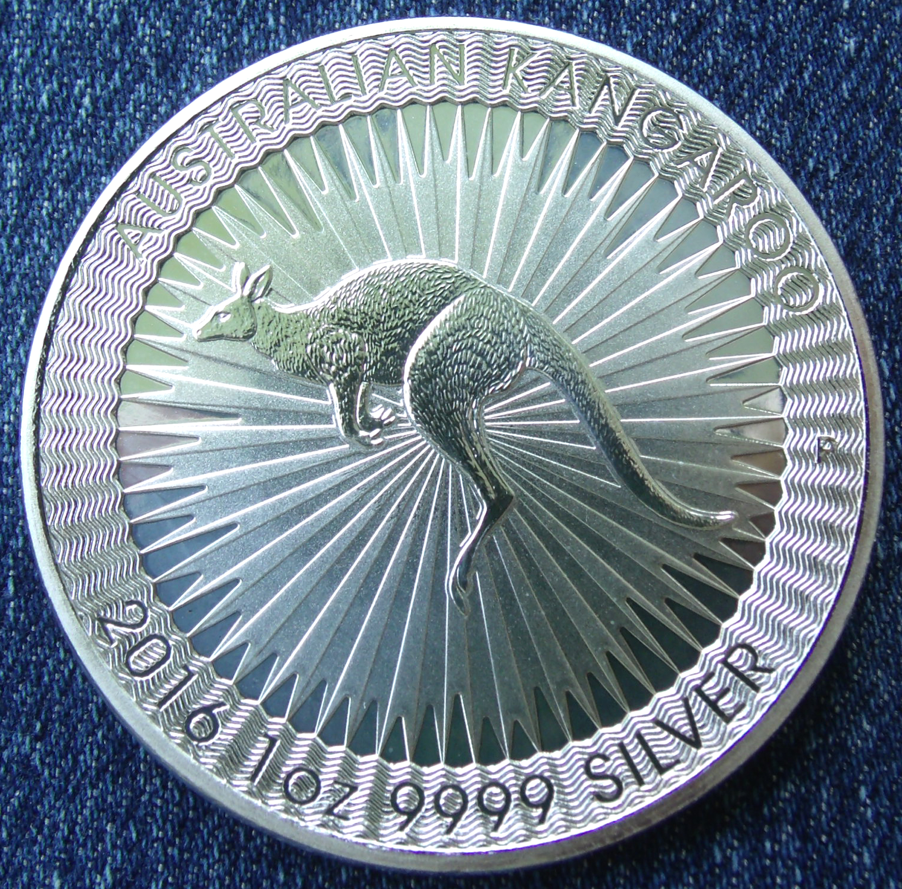 kanga3-2.jpg