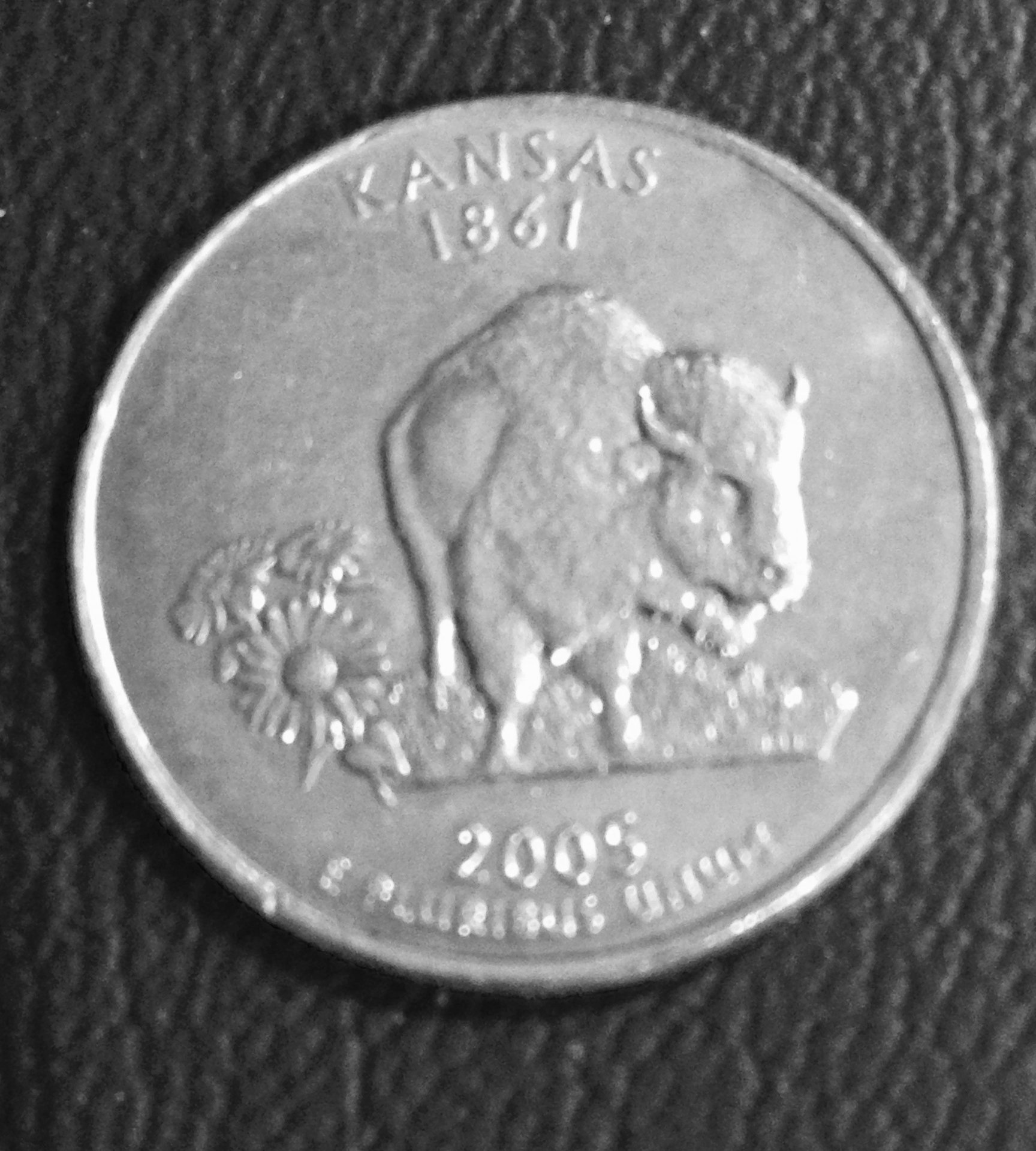 Kansas Error Reverse.jpg