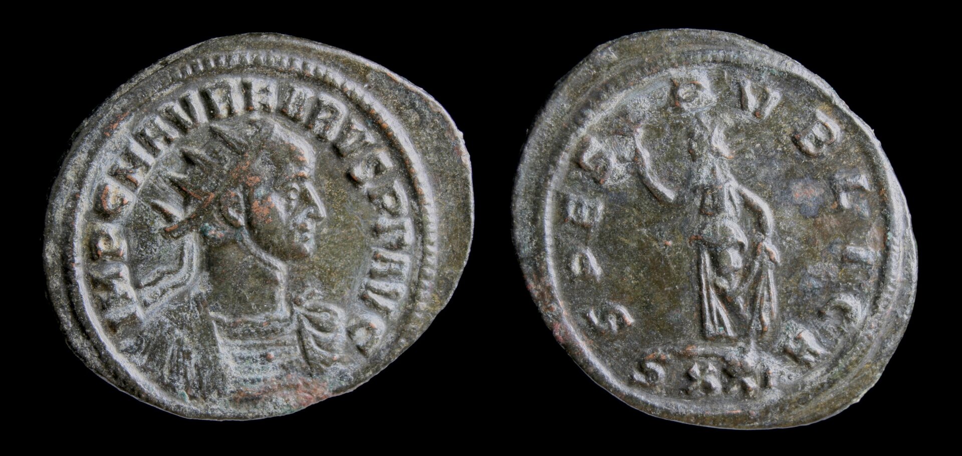 Karinus Ticinum RIC 81(S).jpg