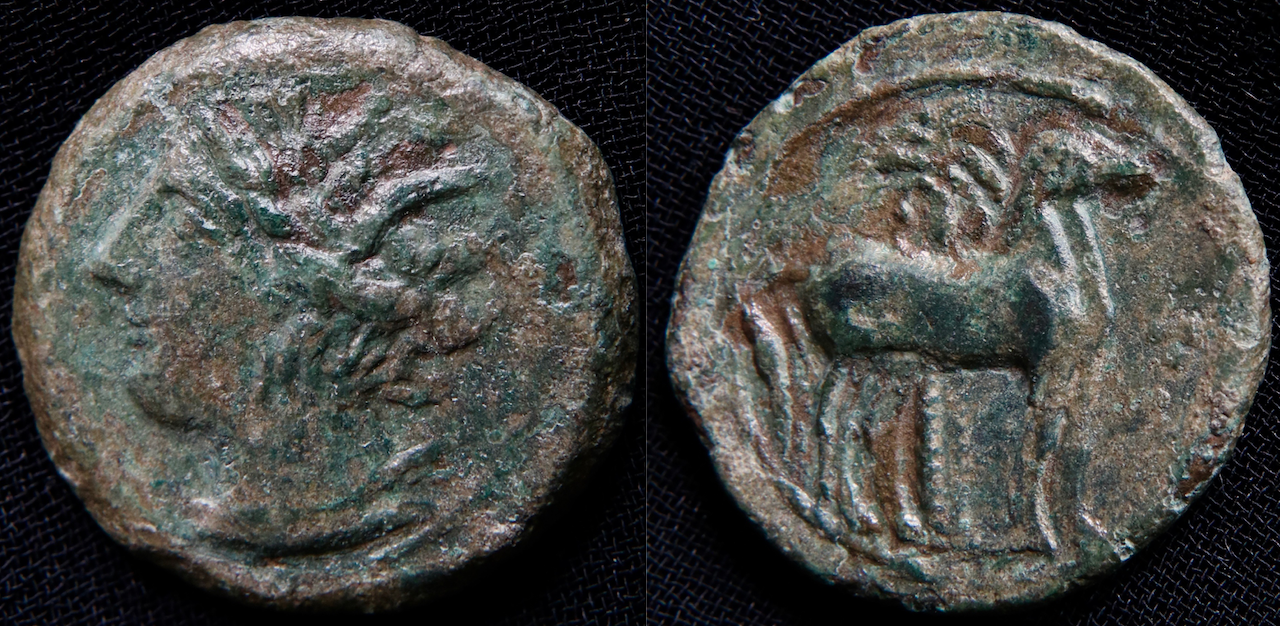 Karthago – AE, Tanit und stehendes Pferd (Foto 3).png