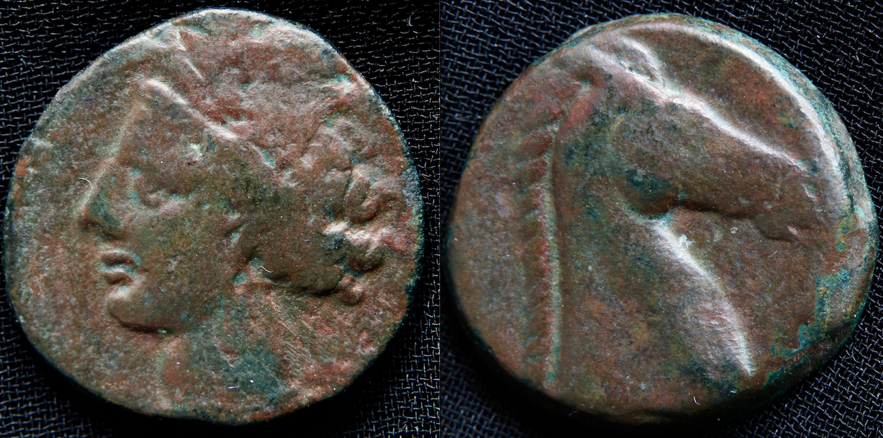 Karthago – AE18, Punic Sicily, AE Tanit  und Pferdekopf.png