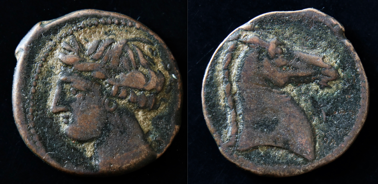 Karthago – AE20, Tanit und Pferdekopf.png