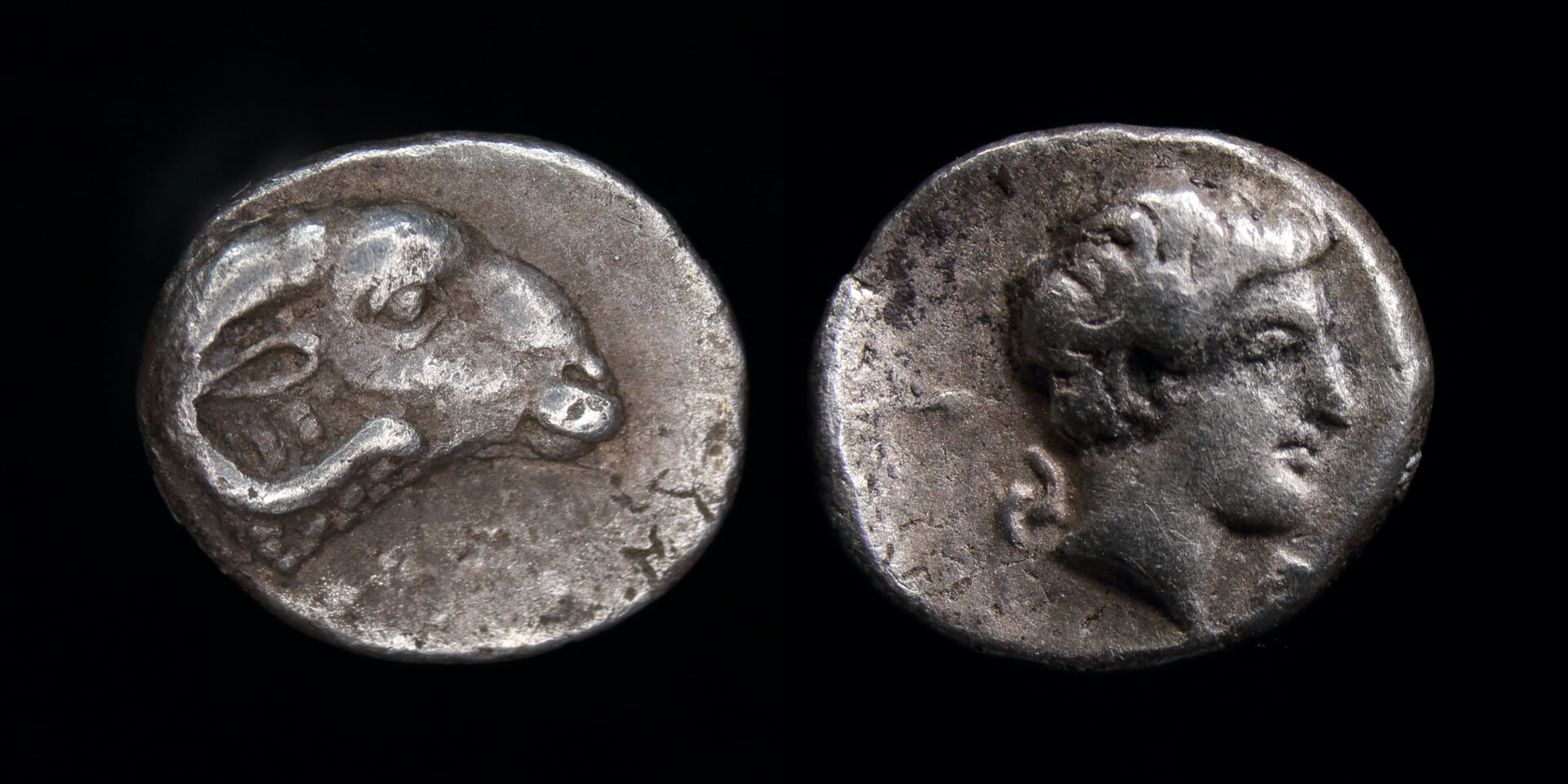 kasolaba hemiobol.jpg