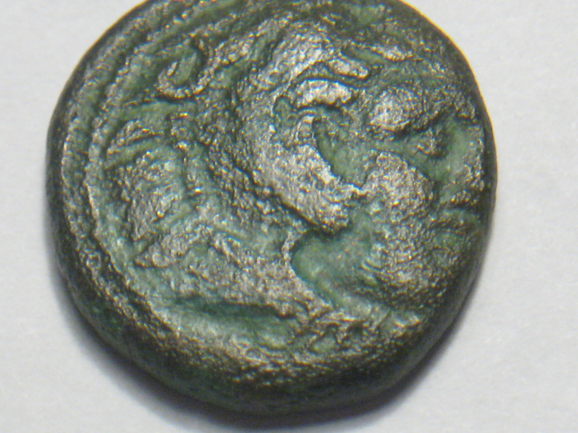 kassander bronze coin 002.JPG