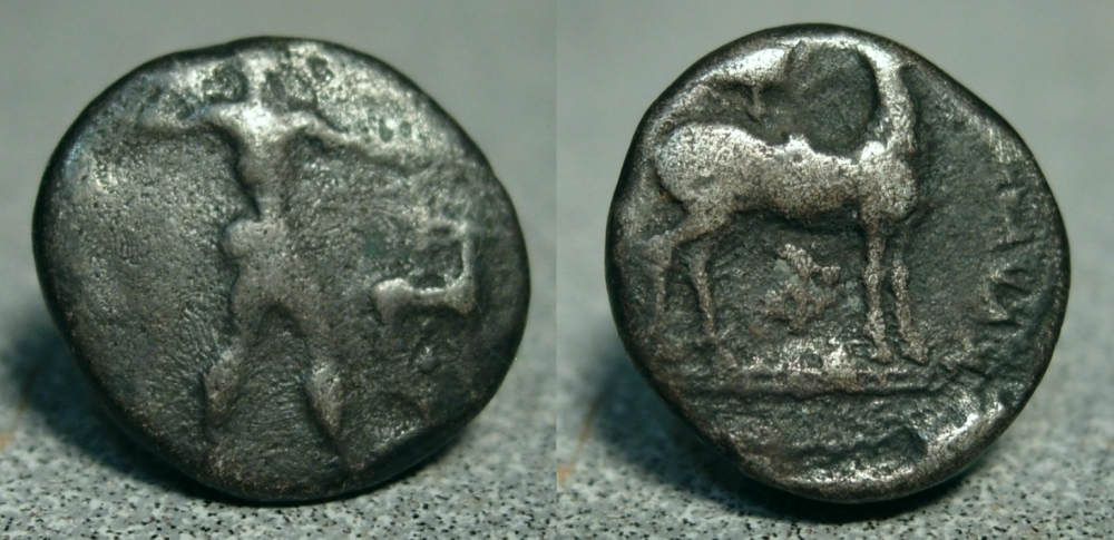 Kaulonia.jpg